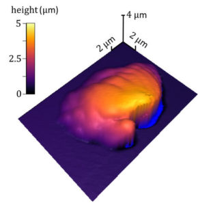 18mml019 single voxel crpr NIST method measures 3D polymer processing precisely