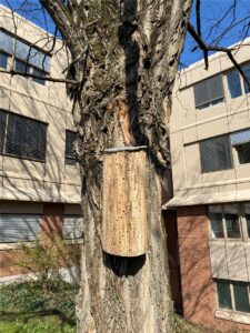 64610 Leuze UK sustainability bees Leuze is CO2 neutral in Germany