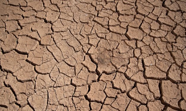 Jordan’s water industry taps into ABB’s digital and AI technology to address resource scarcity