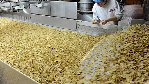 Hot enough? How combining thermal vision with traditional vision is redefining food safety, compliance and automation
