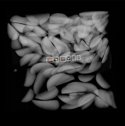Improving Contaminant Detection with Dual Energy X-ray and Photon Counting