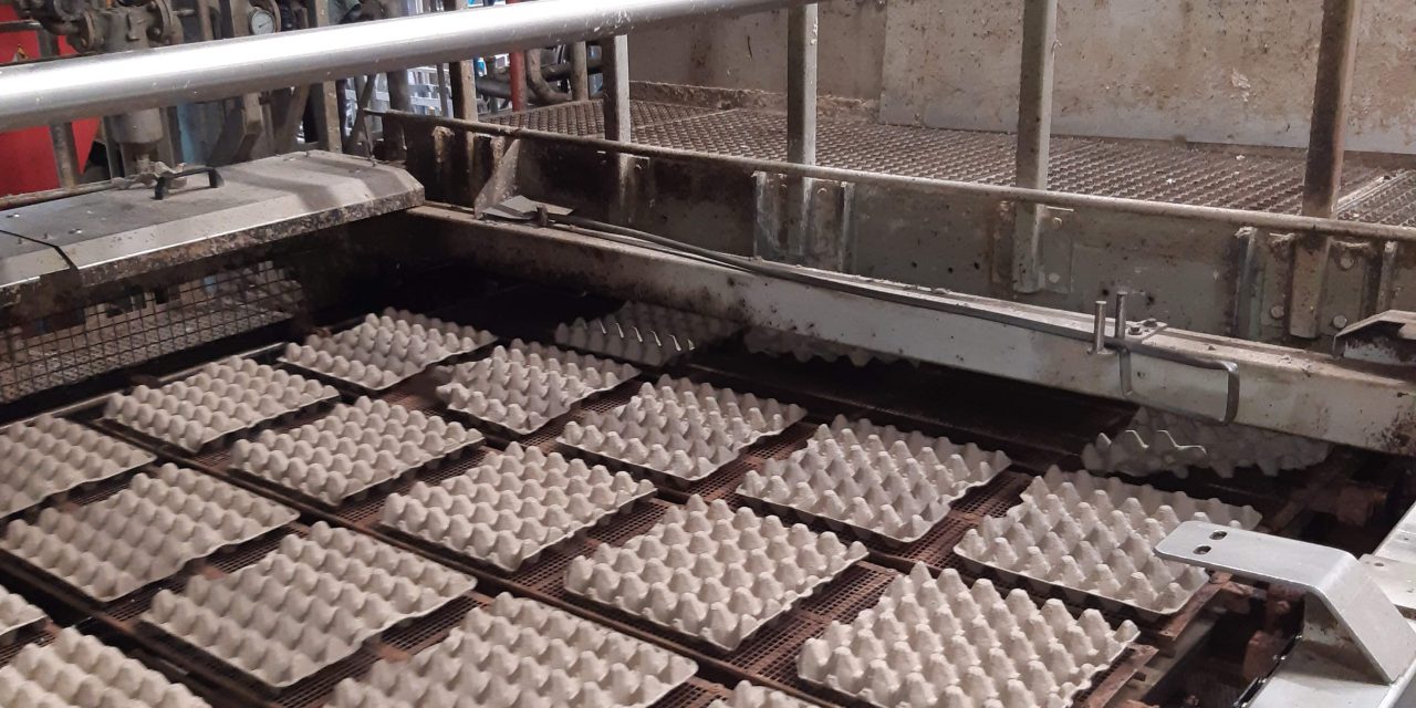 CC-Link open industrial Ethernet supports reliable production at Huhtamaki Franeker