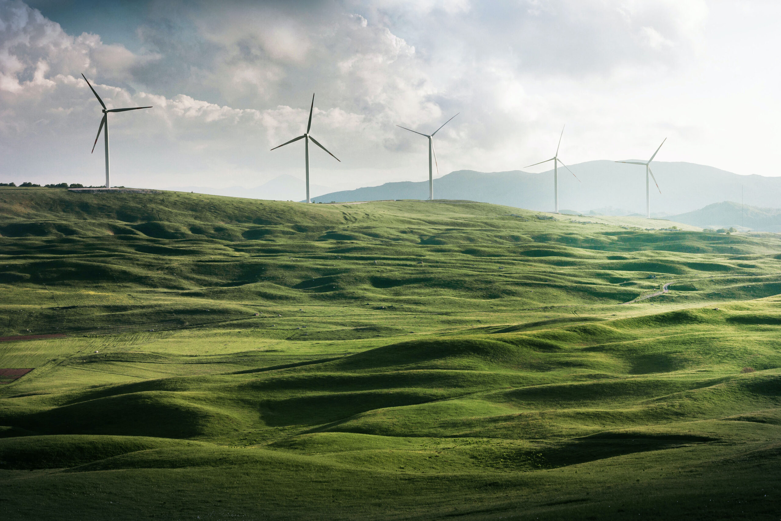 Endress+Hauser joins the European Clean Hydrogen Alliance