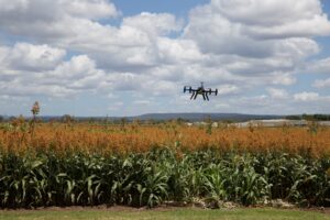 EMS062 Drone image Agriculture 4.0: reaping the benefits of technology