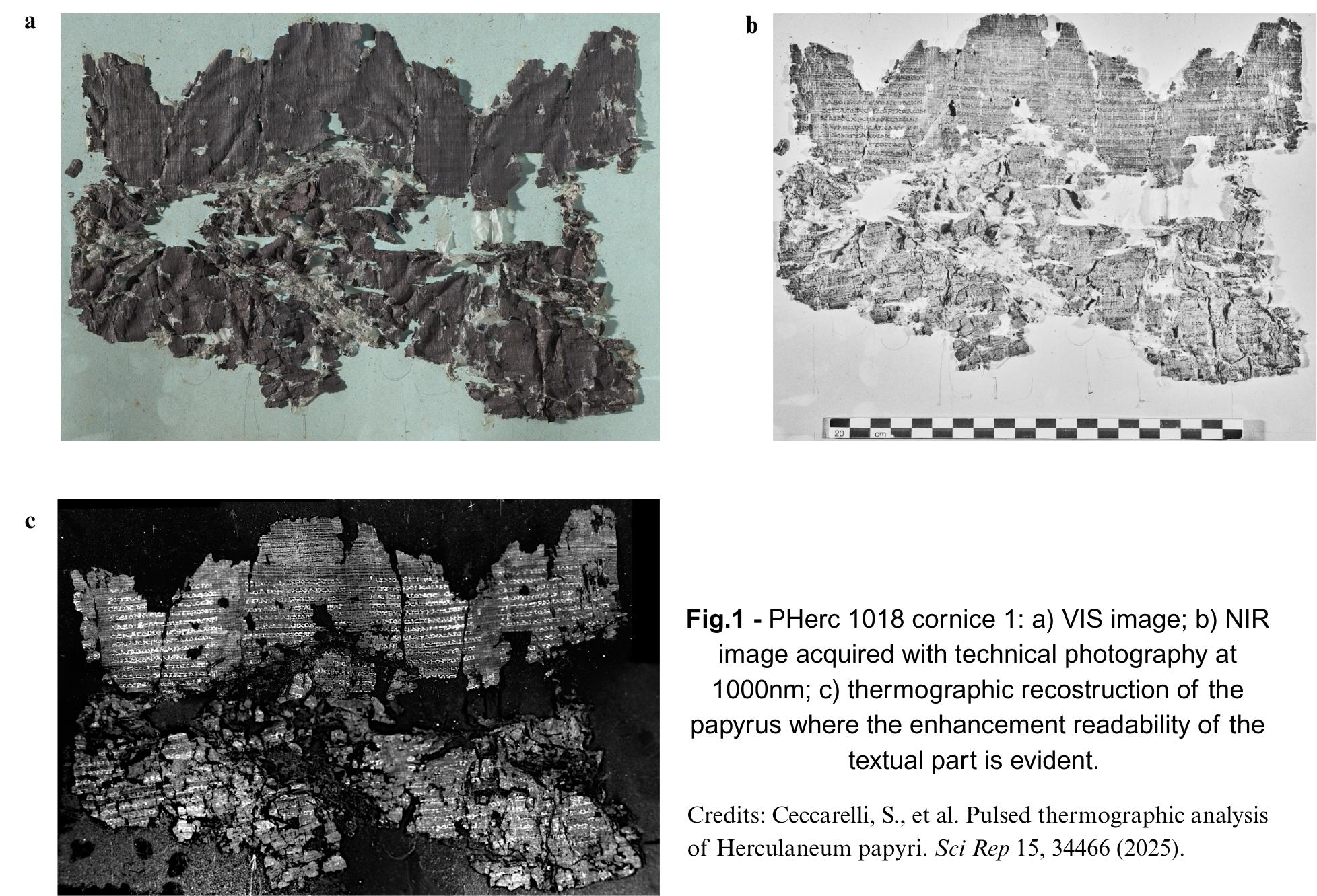 Thermal imaging helps reveal hidden text in ancient Herculaneum papyri