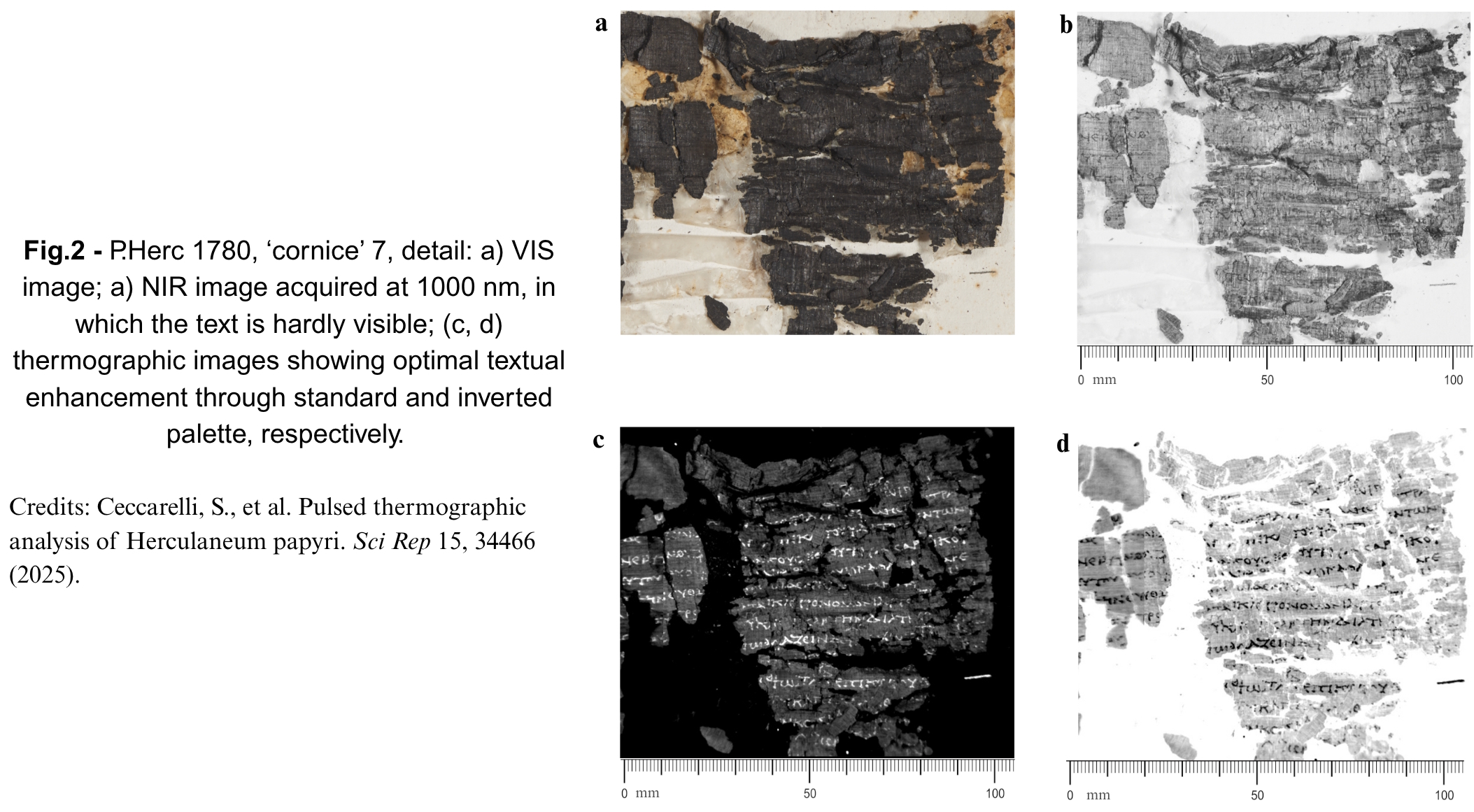 Thermal imaging helps reveal hidden text in ancient Herculaneum papyri
