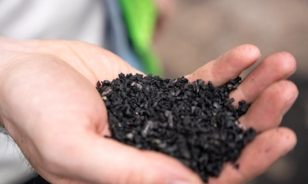 Powering the EV Recycling Revolution with VEGA