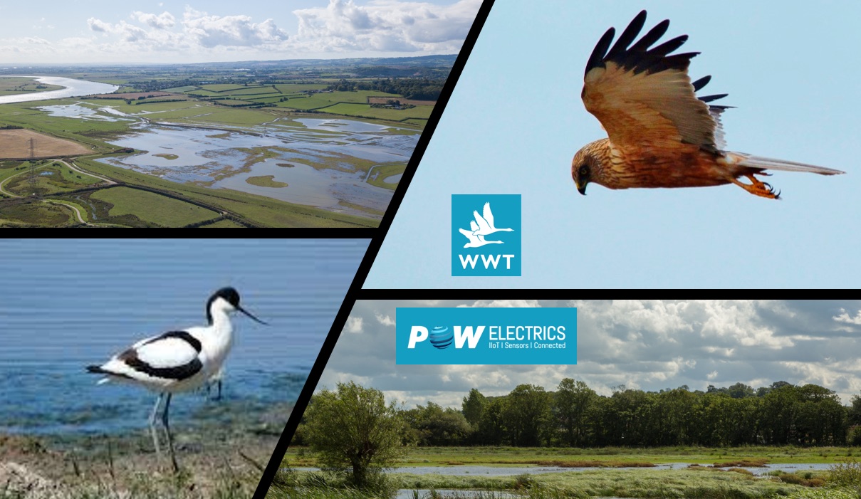 Powelectrics IIoT digital transformation technology helps the Wildfowl & Wetlands Trust manage habitat to promote feeding and breeding