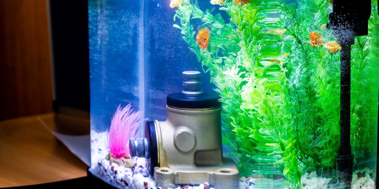 The importance of ingress protection for critical components