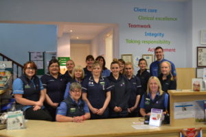 PR6a Paragon Vets Hanwell makes Lite work of temperature monitoring for vets