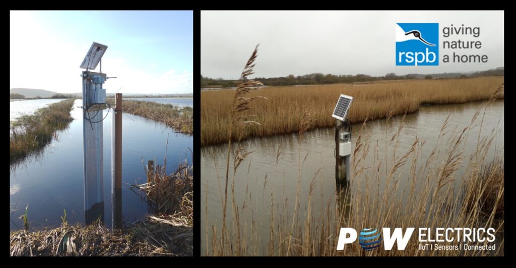 RSPB Image for Instrumentation Monthly Powelectrics IIoT technology helps the RSPB protect bird habitats and promote breeding