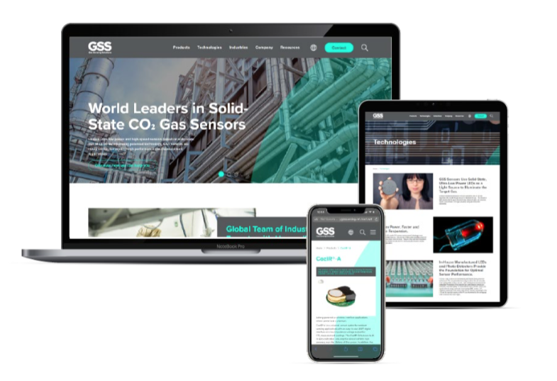 Pioneer in solid state gas sensors launches new website