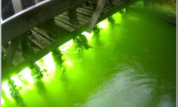 How do remote cameras help ensure wastewater UV disinfection compliance?