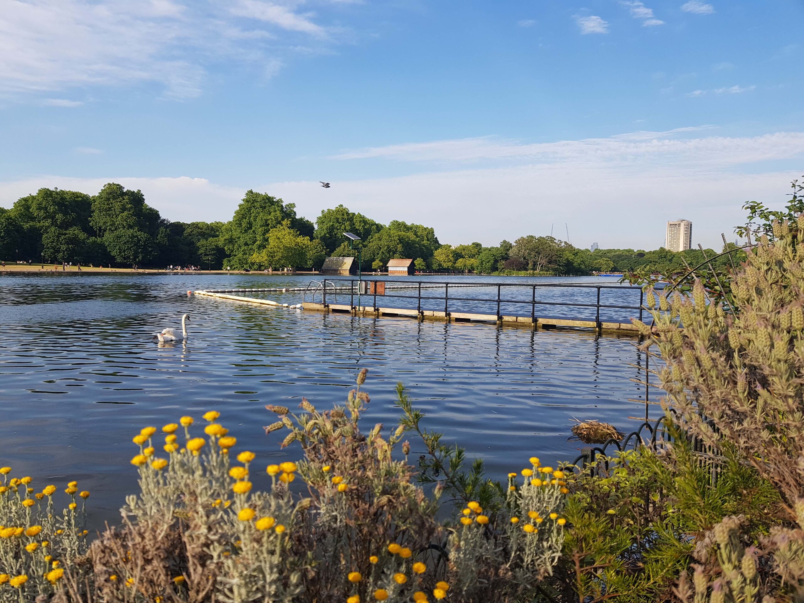 Advanced water quality monitor installed in the Serpentine