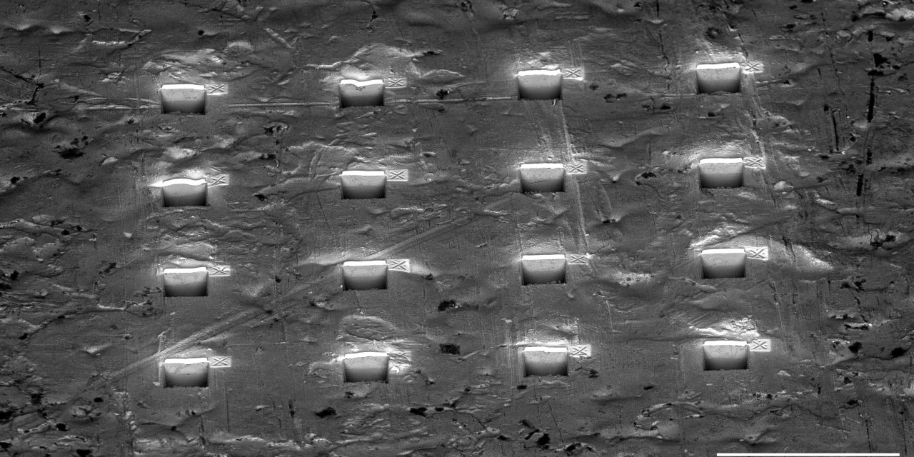 Closing the industry skills gap with automated microscopy