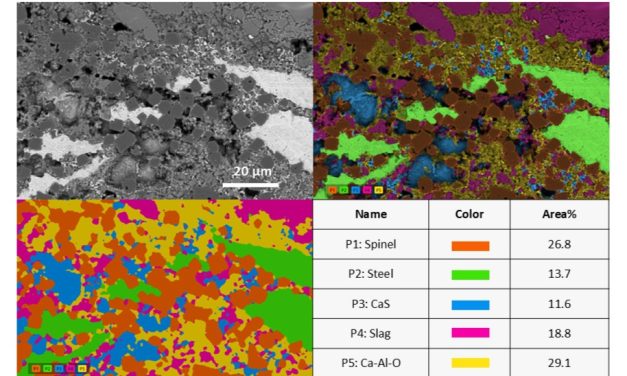 From imaging to insight: electron microscopy workshop for industry 