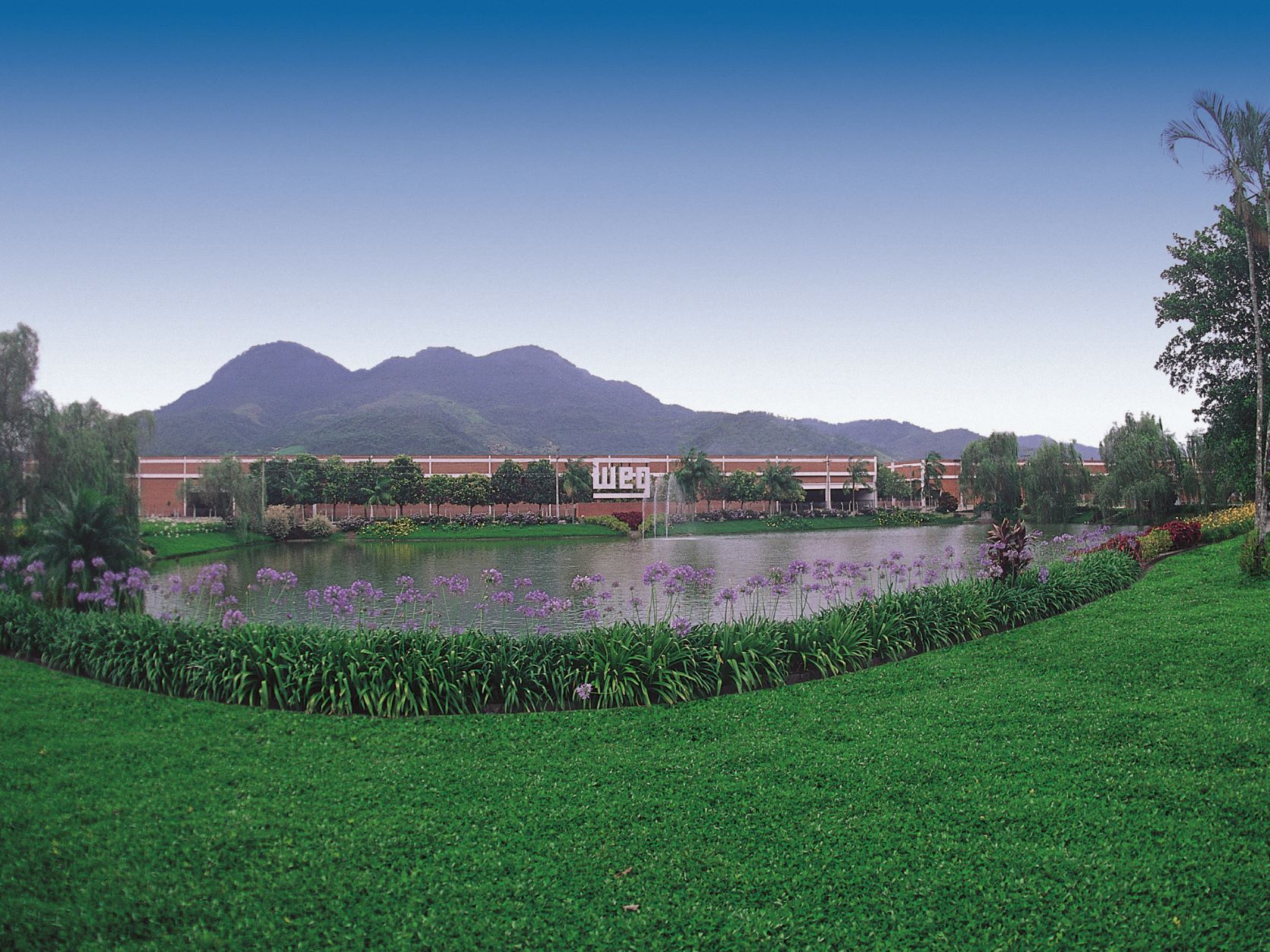 Dual strategies for Industry 4.0