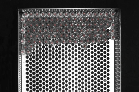 MVTec further expands HALCON functionality with new deep learning features