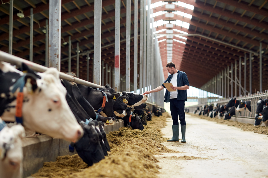 Reducing the effects of cattle farming with methane monitors