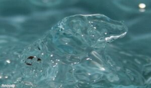 resized image Promo 14 Call for Papers on Water and Wastewater Monitoring