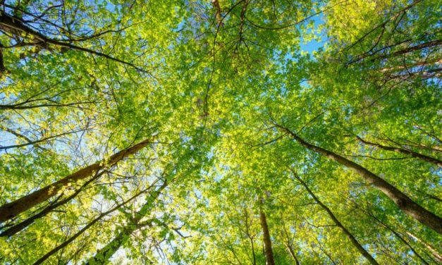 ABB publishes first Environmental Product Declarations in Industrial Sensor segment